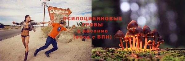 первитин Балахна