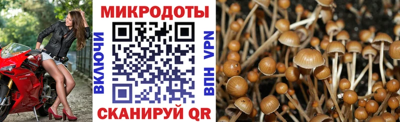 это состав  магазин  наркотиков  Радужный  Галлюциногенные грибы Psilocybe 